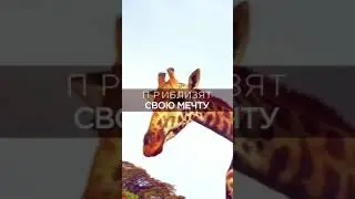 Африка