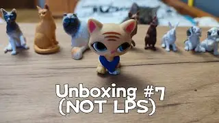 Unboxing #7 (NOT LPS)