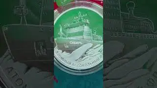 3 сентября 2024 г.