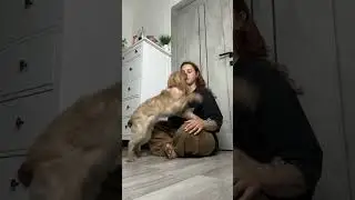 если скучали поддержите это видео, они будут выходить часто 🐕