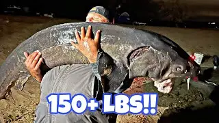 Lake Sturgeon of a LIFE TIME!! (150+ lbs)