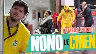 Prank : man acting as a dog / baby-sitters pranked !