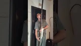 фуяра D