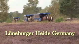 Naturpark Lüneburger Heide northern Germany