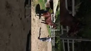 VIDEO5 - S.XX - P4