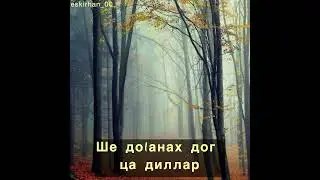Хьехам Ше до1анах дог ца диллар..