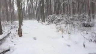 Honda Pioneer 700 Ride Through The Snow