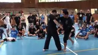 Silat Suffian Bela Diri - 5th of 5 days Italian Intensive Camp 2013