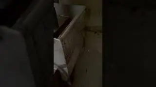 4 ноября 2022 г.