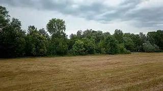 Вечер 29 июля 2024, за рыбаками__