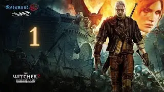 The Witcher 2