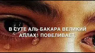11 января 2022 г.