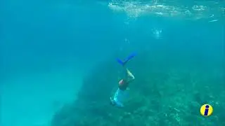 Snorqueling en Cayo Levisa