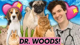 My First Day As A Veterinarian!