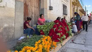 Mercado tradicional en Tlacolula de matamoros #oaxaca #viral #tradiciones #mercados