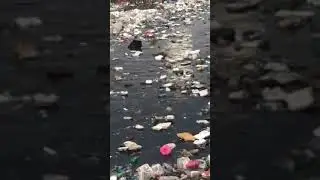 Если не одумаемся, то мы обречены..
