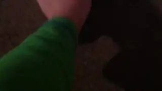 Why do cats do these things