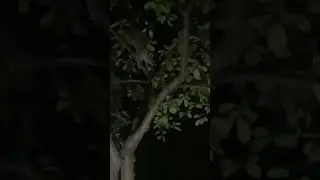 БАНДИТ В ГОРОДЕ😎