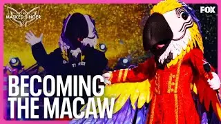 Becoming The Macaw | Season 9 Ep. 14 | The Masked Singer