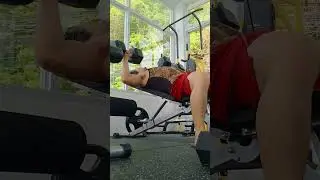 Chest Day Dumbbell Bench Press. #chestworkout #dumbellpress