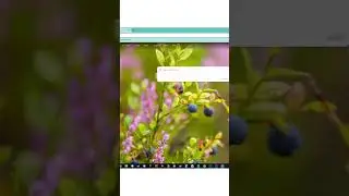 HOW TO GET FREE ROBUX IN 2024 *REAL METHOD*  