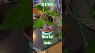 3d printed moss ball  holder idea 