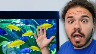 I had 20 MINUTES to FIX MY FISH TANK!