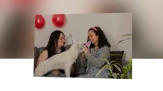 Alcasqui fotografía de Mascotas