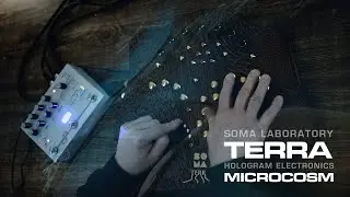Live performance with Terra & Microcosm