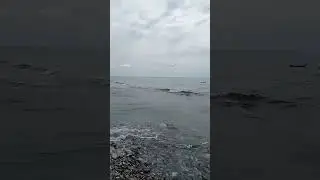 Встреча двух стихий. Река Шахе и Чëрное море.