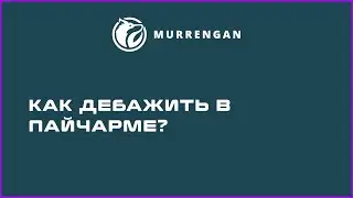 Как запустить в режиме разработчика? Как дебажить в пайчарме?