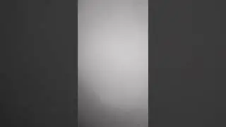 хамелеон..он шипит