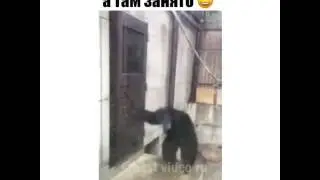 30 сентября 2016 г.