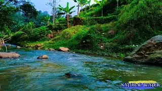 relaxing sounds for sleeping : Natural Sounds to Soothe Your Soul