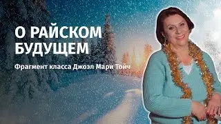 О райском будущем. Фрагмент класса Джоэл Мари Тойч