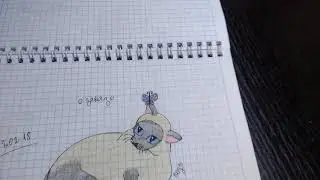 Заказ