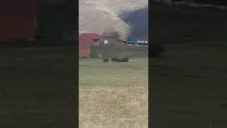 25 мая 2021 г.
