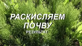 РЕЗУЛЬТАТ РАСКИСЛЕНИЯ ПОЧВЫ
