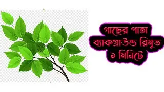 How to remove background in photoshop | গাছের পাতা ব্যাকগ্রাউন্ড রিমুভ ১ মিনিটে |