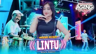 LINTU - Shinta Arsinta ft Ageng Music (Official Live Music)