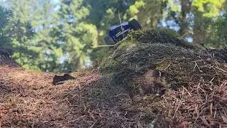 scx24 based crawler