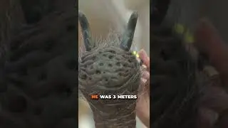 Aragog was real?! | 