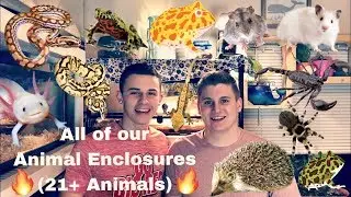All Our Animal Enclosures (Over 20+)