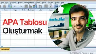 SPSS Tips #3 | Automatic APA Table