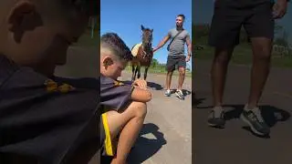 Ele só queria um cavalo para brincar 