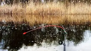 I’m shocked by this fishing rod! The side nod bite indicator is absolutely slaying the crucian carp!