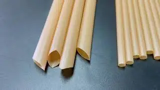 Bagasse Drinking Straws