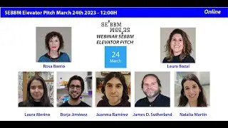 Webinar SEBBM - Elevator Pitch 13