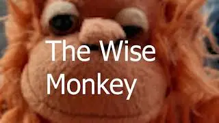Talking About P.A.W.P And The Mible