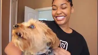 WHEN YOUR BEST FRIEND GETS A NEW DOG